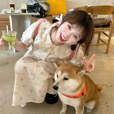 寻宝搭档第一季